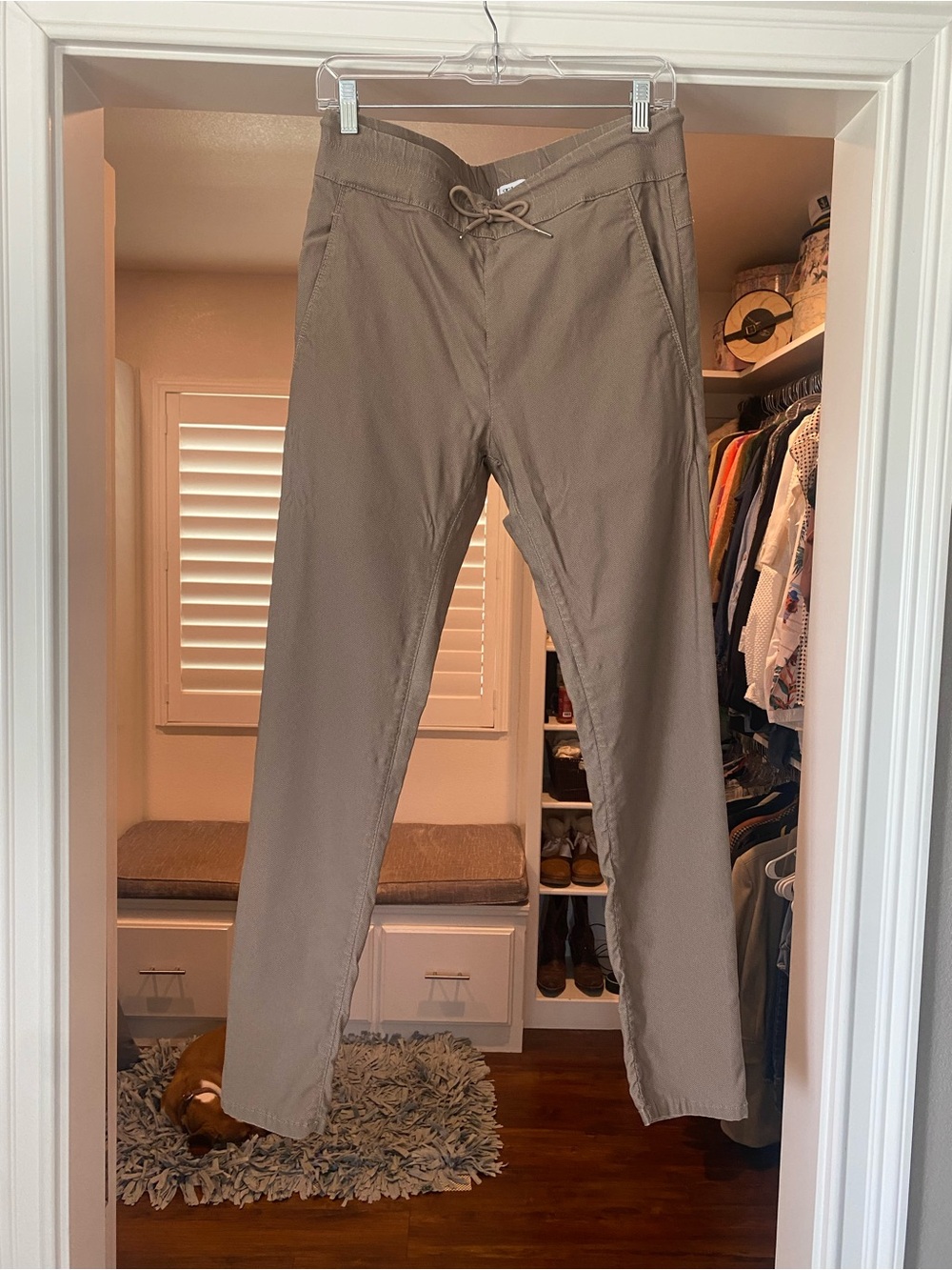 Everyday Taupe Drawstring Chinos for Women